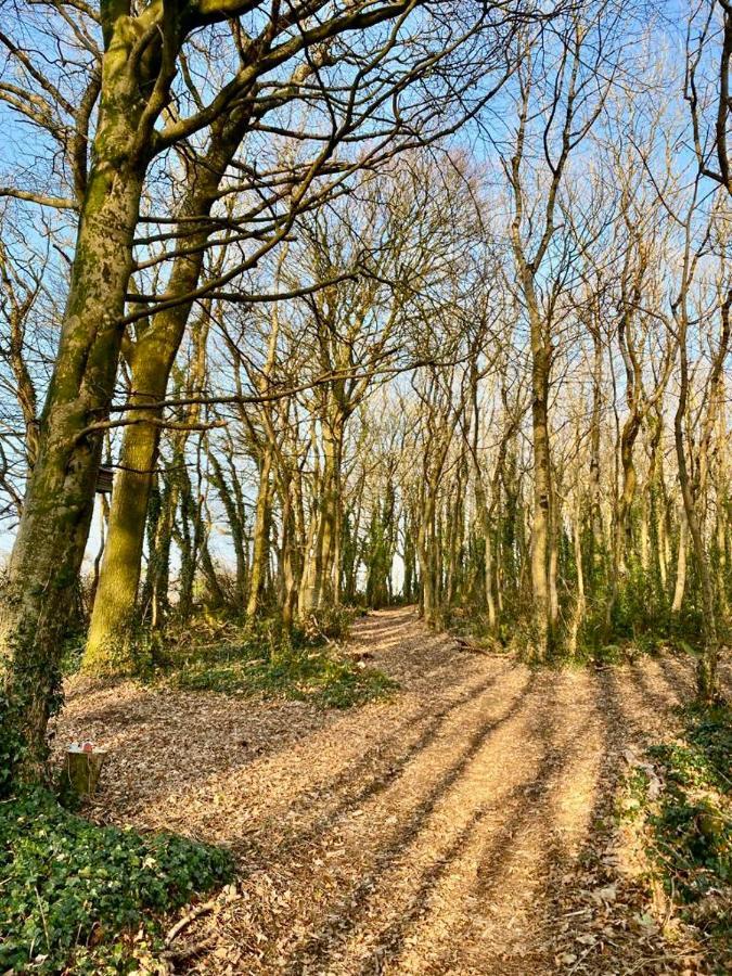 فيلا Highgate Mountain Saint Twynnells المظهر الخارجي الصورة