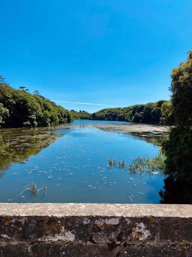 فيلا Highgate Mountain Saint Twynnells المظهر الخارجي الصورة